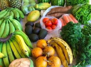 fresh fruits and veggies are a great addition to any diet